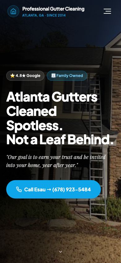 Professional Gutter Cleaning mobile site